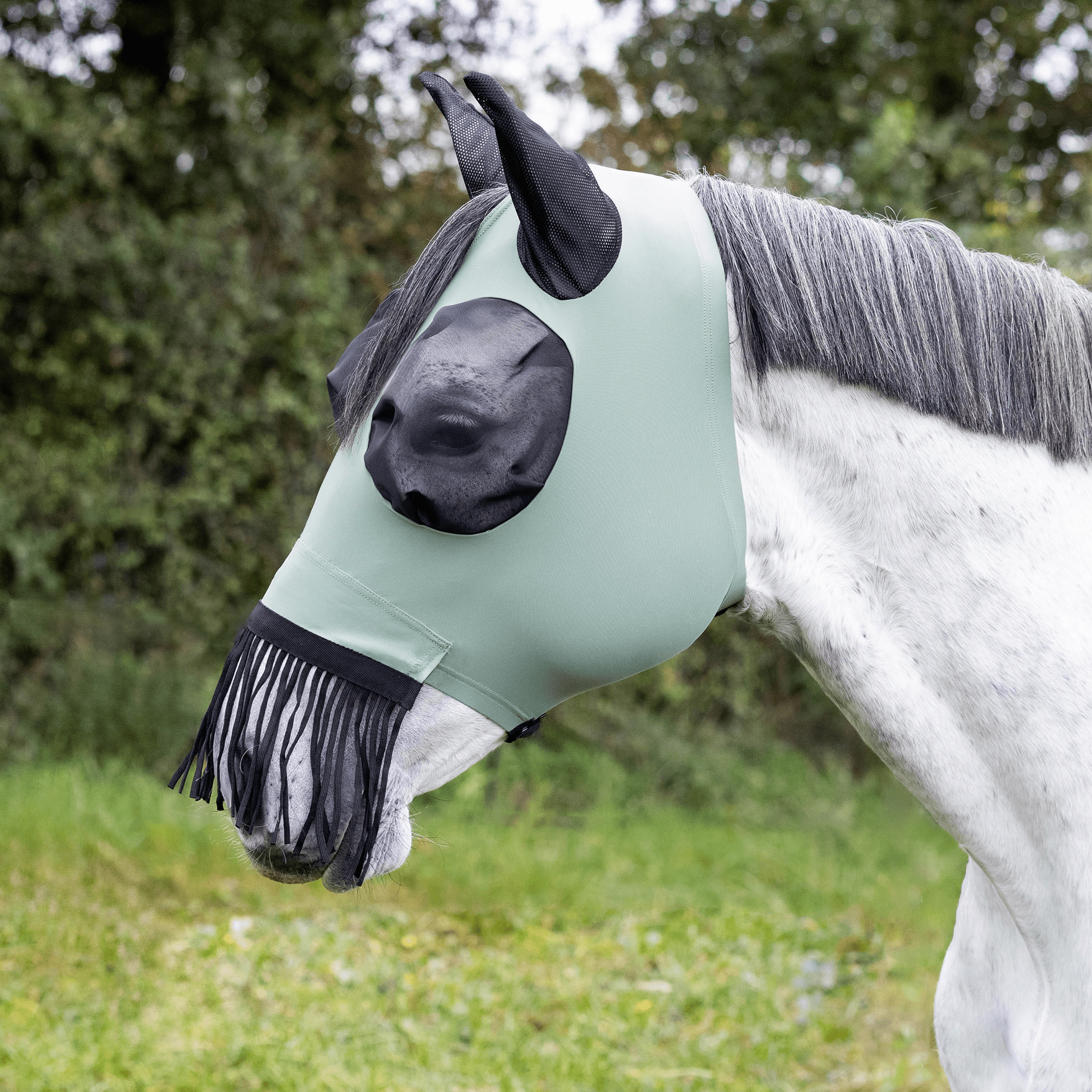 hasenmaske fliegenbinden