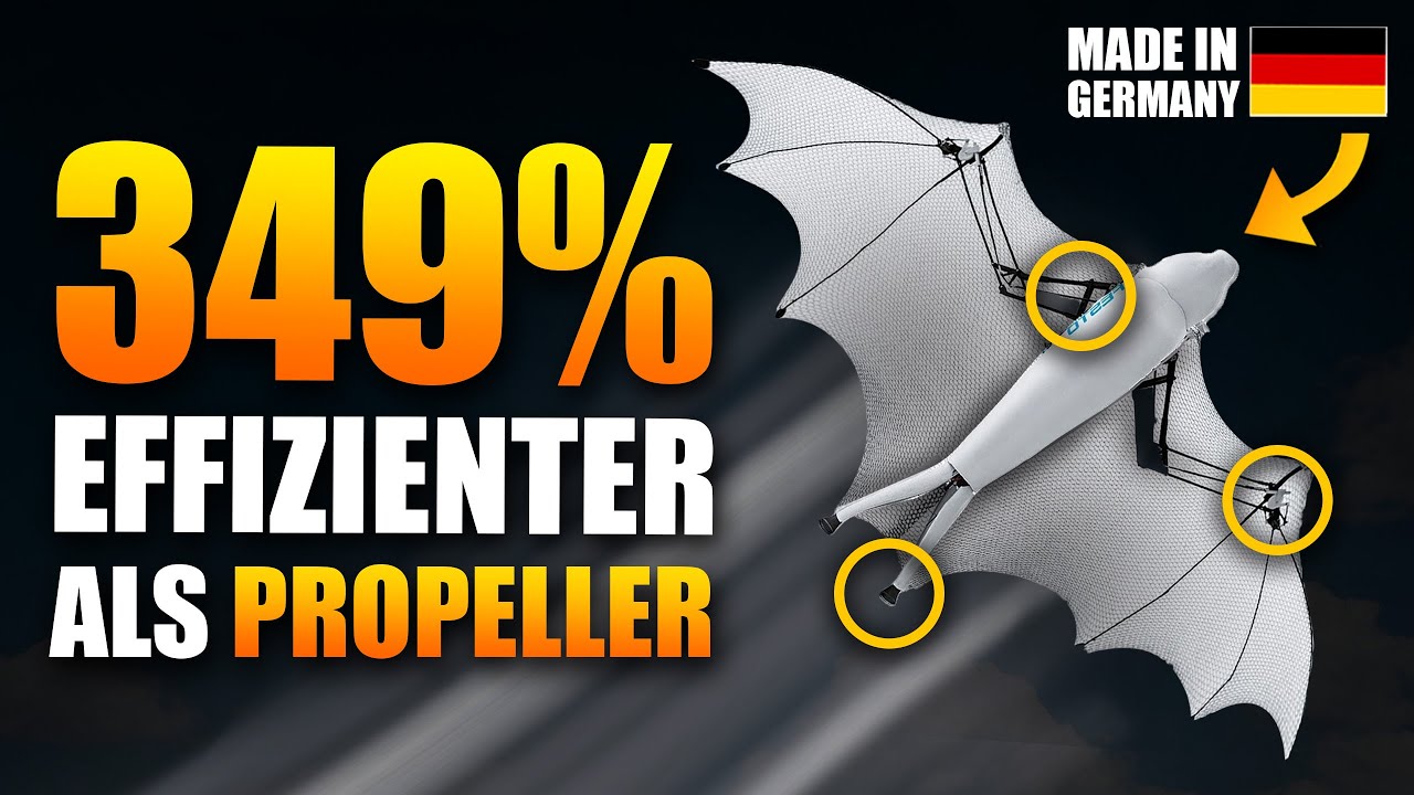 fliegenbinden flügel