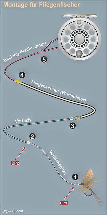 fliegenschnur auf rolle befestigen