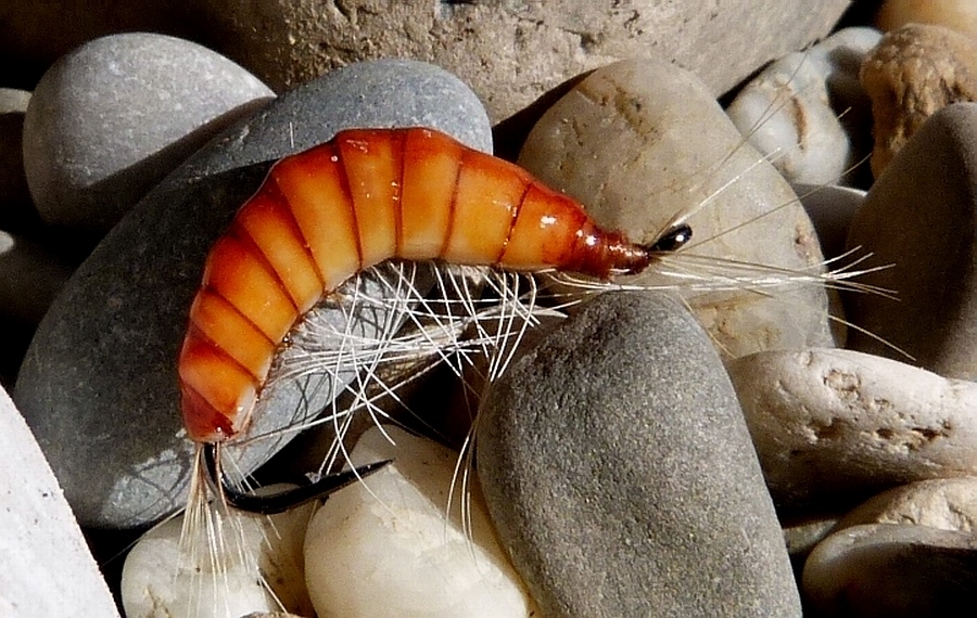 fliegenbinden bachflohkrebs