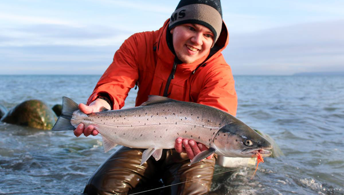 fliegenrute für meerforelle