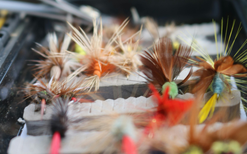 fliegenbinden schritt für schritt